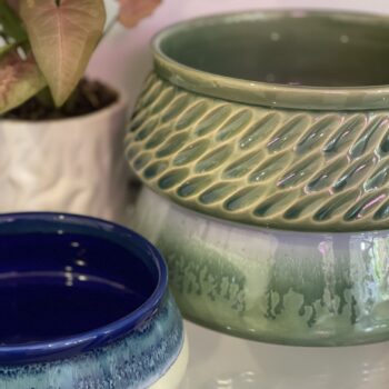 Reusable Bowls