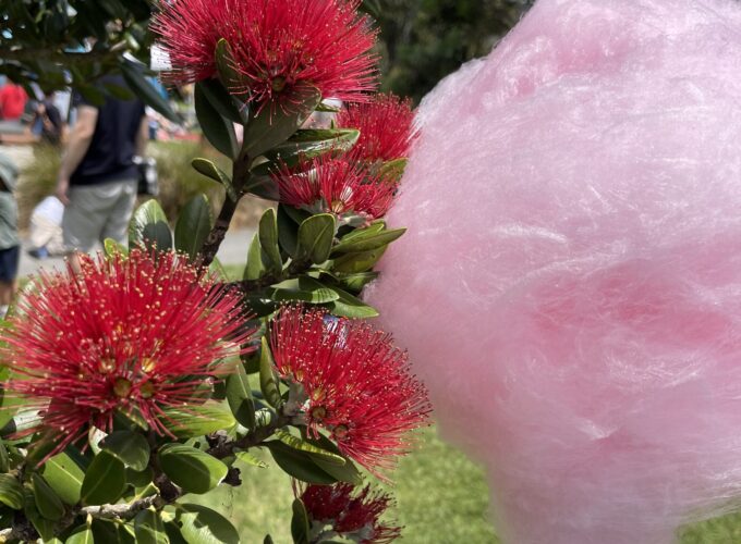 Bubble Gum Candy Floss